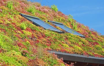 East Budleigh living roof systems